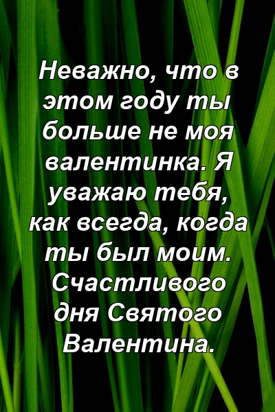 Неважно, что в этом году ты больше не моя валентинка. Я уважаю тебя, как всегда, когда ты был моим. Счастливого дня Святого Валентина.