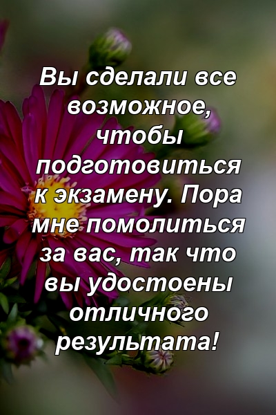 Вы сделали все возможное, чтобы подготовиться к экзамену. Пора мне помолиться за вас, так что вы удостоены отличного результата!