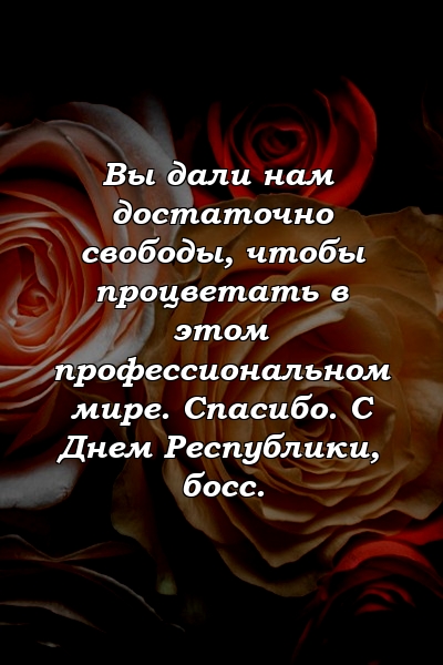 Вы дали нам достаточно свободы, чтобы процветать в этом профессиональном мире. Спасибо. С Днем Республики, босс.