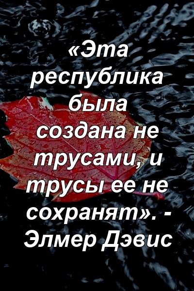 «Эта республика была создана не трусами, и трусы ее не сохранят». - Элмер Дэвис