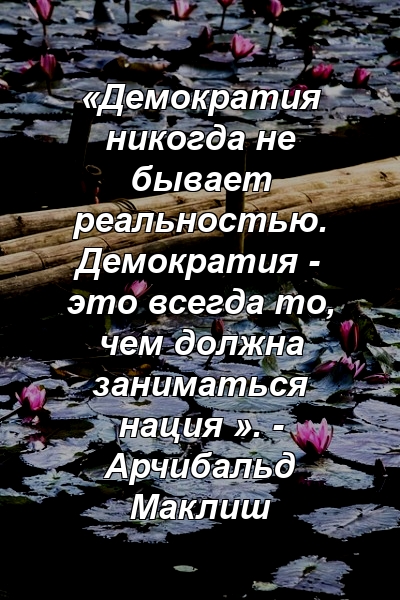 «Демократия никогда не бывает реальностью. Демократия - это всегда то, чем должна заниматься нация ». - Арчибальд Маклиш