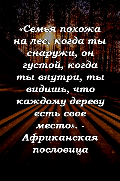 «Семья похожа на лес, когда ты снаружи, он густой, когда ты внутри, ты видишь, что каждому дереву есть свое место». - Африканская пословица