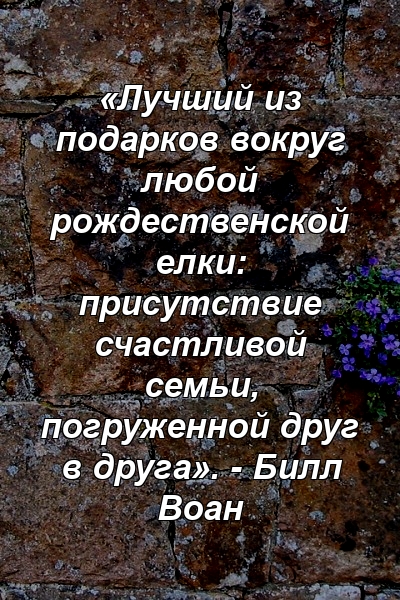 «Лучший из подарков вокруг любой рождественской елки: присутствие счастливой семьи, погруженной друг в друга». - Билл Воан