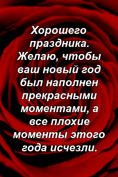 Хорошего праздника. Желаю, чтобы ваш новый год был наполнен прекрасными моментами, а все плохие моменты этого года исчезли.