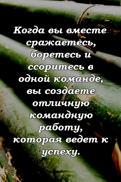 Когда вы вместе сражаетесь, боретесь и ссоритесь в одной команде, вы создаете отличную командную работу, которая ведет к успеху.