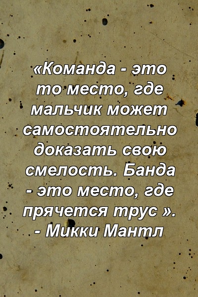 «Команда - это то место, где мальчик может самостоятельно доказать свою смелость. Банда - это место, где прячется трус ». - Микки Мантл