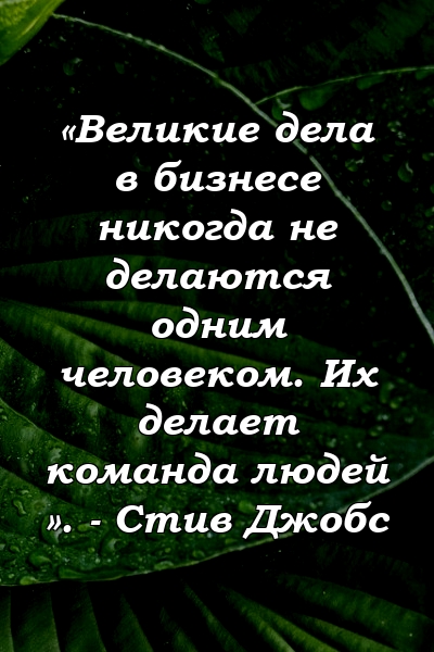 «Великие дела в бизнесе никогда не делаются одним человеком. Их делает команда людей ». - Стив Джобс