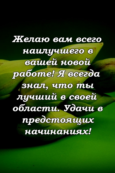 Желаю вам всего наилучшего в вашей новой работе! Я всегда знал, что ты лучший в своей области. Удачи в предстоящих начинаниях!