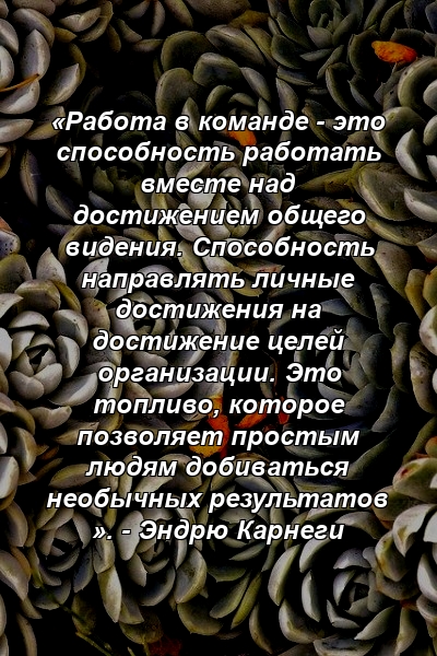 «Работа в команде - это способность работать вместе над достижением общего видения. Способность направлять личные достижения на достижение целей организации. Это топливо, которое позволяет простым людям добиваться необычных результатов ». - Эндрю Карнеги