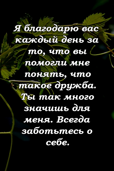 Я благодарю вас каждый день за то, что вы помогли мне понять, что такое дружба. Ты так много значишь для меня. Всегда заботьтесь о себе.