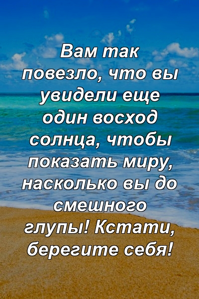 Вам так повезло, что вы увидели еще один восход солнца, чтобы показать миру, насколько вы до смешного глупы! Кстати, берегите себя!