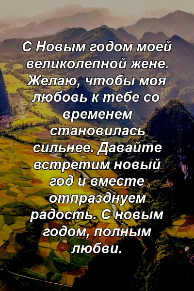 С Новым годом моей великолепной жене. Желаю, чтобы моя любовь к тебе со временем становилась сильнее. Давайте встретим новый год и вместе отпразднуем радость. С новым годом, полным любви.