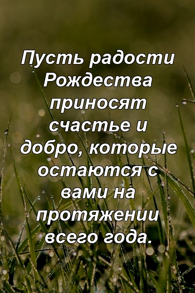 Пусть радости Рождества приносят счастье и добро, которые остаются с вами на протяжении всего года.