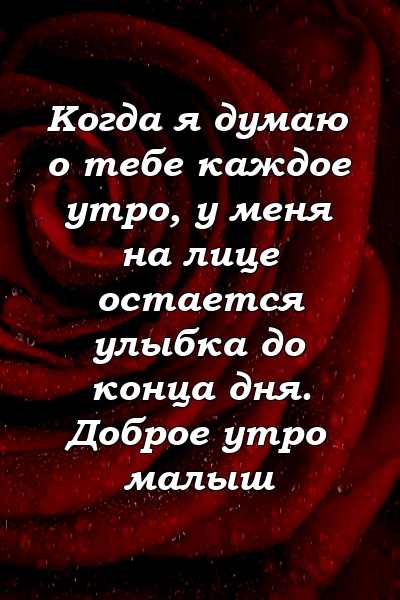 Когда я думаю о тебе каждое утро, у меня на лице остается улыбка до конца дня. Доброе утро малыш