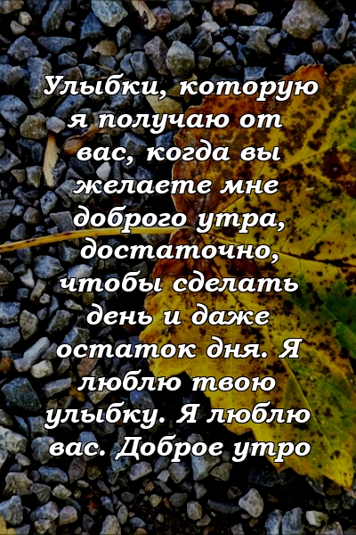 Улыбки, которую я получаю от вас, когда вы желаете мне доброго утра, достаточно, чтобы сделать день и даже остаток дня. Я люблю твою улыбку. Я люблю вас. Доброе утро