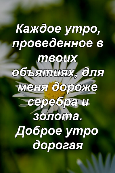 Каждое утро, проведенное в твоих объятиях, для меня дороже серебра и золота. Доброе утро дорогая