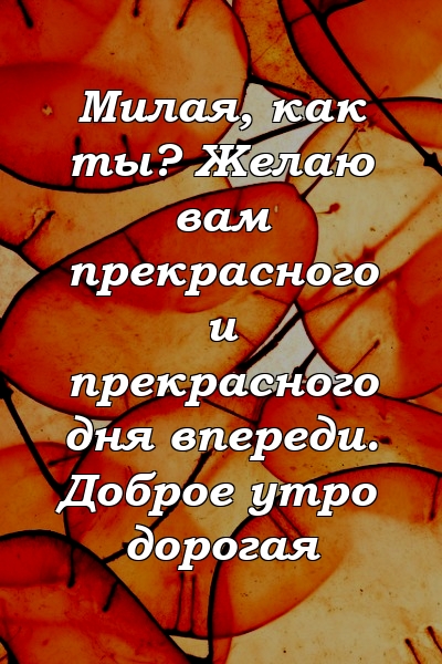 Милая, как ты? Желаю вам прекрасного и прекрасного дня впереди. Доброе утро дорогая