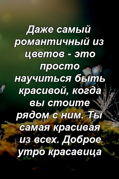 Даже самый романтичный из цветов - это просто научиться быть красивой, когда вы стоите рядом с ним. Ты самая красивая из всех. Доброе утро красавица