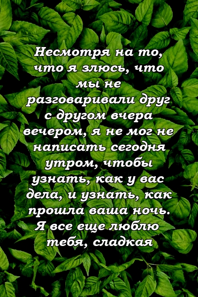 Несмотря на то, что я злюсь, что мы не разговаривали друг с другом вчера вечером, я не мог не написать сегодня утром, чтобы узнать, как у вас дела, и узнать, как прошла ваша ночь. Я все еще люблю тебя, сладкая