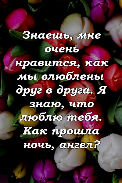 Знаешь, мне очень нравится, как мы влюблены друг в друга. Я знаю, что люблю тебя. Как прошла ночь, ангел?