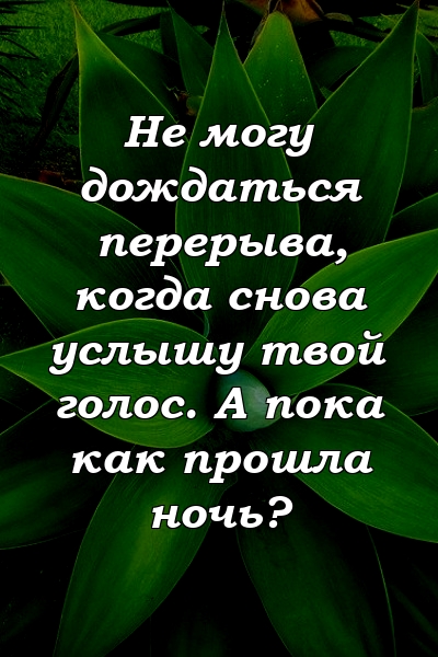 Не могу дождаться перерыва, когда снова услышу твой голос. А пока как прошла ночь?