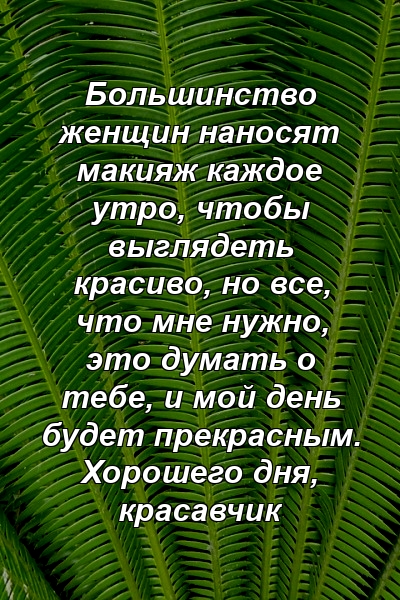 Большинство женщин наносят макияж каждое утро, чтобы выглядеть красиво, но все, что мне нужно, это думать о тебе, и мой день будет прекрасным. Хорошего дня, красавчик