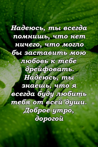 Надеюсь, ты всегда помнишь, что нет ничего, что могло бы заставить мою любовь к тебе дрейфовать. Надеюсь, ты знаешь, что я всегда буду любить тебя от всей души. Доброе утро, дорогой