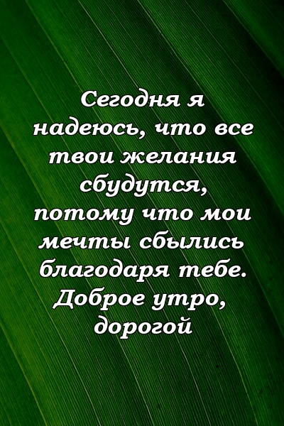 Сегодня я надеюсь, что все твои желания сбудутся, потому что мои мечты сбылись благодаря тебе. Доброе утро, дорогой