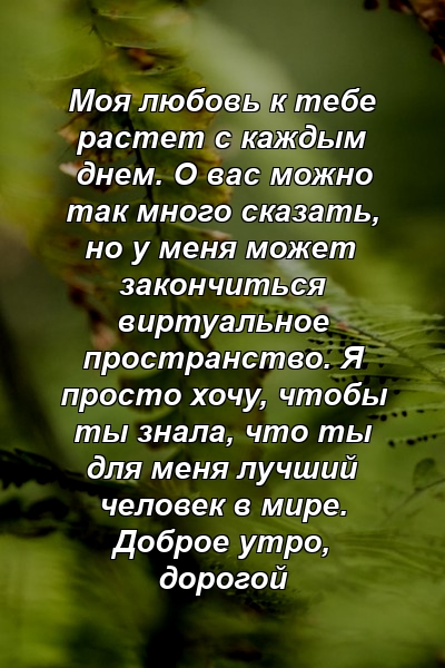 Моя любовь к тебе растет с каждым днем. О вас можно так много сказать, но у меня может закончиться виртуальное пространство. Я просто хочу, чтобы ты знала, что ты для меня лучший человек в мире. Доброе утро, дорогой