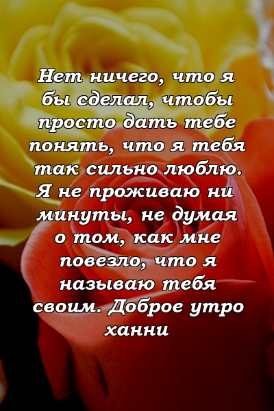 Нет ничего, что я бы сделал, чтобы просто дать тебе понять, что я тебя так сильно люблю. Я не проживаю ни минуты, не думая о том, как мне повезло, что я называю тебя своим. Доброе утро ханни