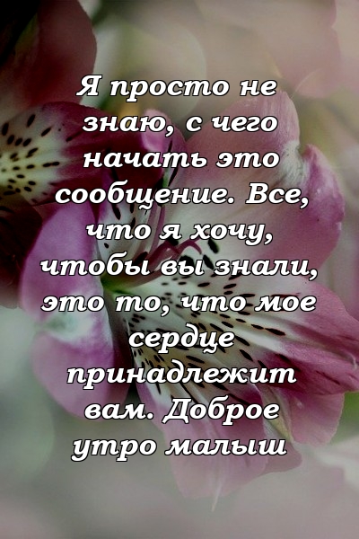 Я просто не знаю, с чего начать это сообщение. Все, что я хочу, чтобы вы знали, это то, что мое сердце принадлежит вам. Доброе утро малыш