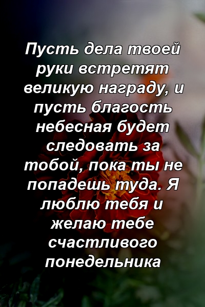 Пусть дела твоей руки встретят великую награду, и пусть благость небесная будет следовать за тобой, пока ты не попадешь туда. Я люблю тебя и желаю тебе счастливого понедельника