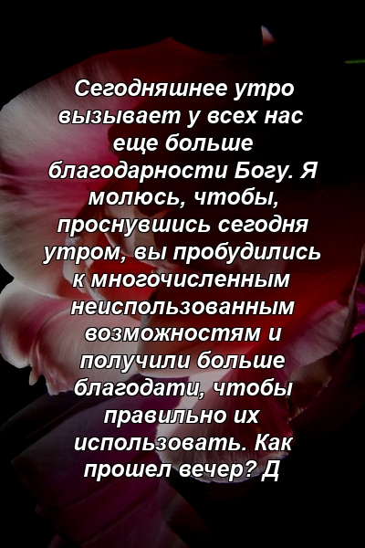 Сегодняшнее утро вызывает у всех нас еще больше благодарности Богу. Я молюсь, чтобы, проснувшись сегодня утром, вы пробудились к многочисленным неиспользованным возможностям и получили больше благодати, чтобы правильно их использовать. Как прошел вечер? Д