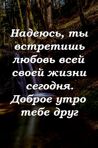 Надеюсь, ты встретишь любовь всей своей жизни сегодня. Доброе утро тебе друг