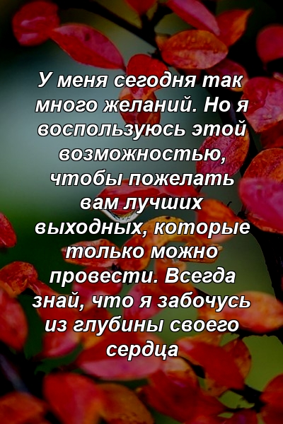 У меня сегодня так много желаний. Но я воспользуюсь этой возможностью, чтобы пожелать вам лучших выходных, которые только можно провести. Всегда знай, что я забочусь из глубины своего сердца