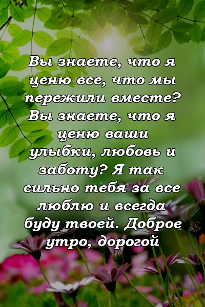 Вы знаете, что я ценю все, что мы пережили вместе? Вы знаете, что я ценю ваши улыбки, любовь и заботу? Я так сильно тебя за все люблю и всегда буду твоей. Доброе утро, дорогой