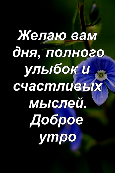 Желаю вам дня, полного улыбок и счастливых мыслей. Доброе утро