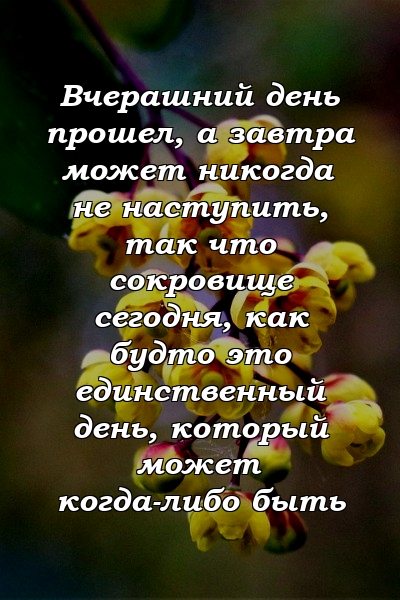 Вчерашний день прошел, а завтра может никогда не наступить, так что сокровище сегодня, как будто это единственный день, который может когда-либо быть