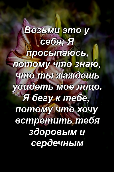 Возьми это у себя; Я просыпаюсь, потому что знаю, что ты жаждешь увидеть мое лицо. Я бегу к тебе, потому что хочу встретить тебя здоровым и сердечным