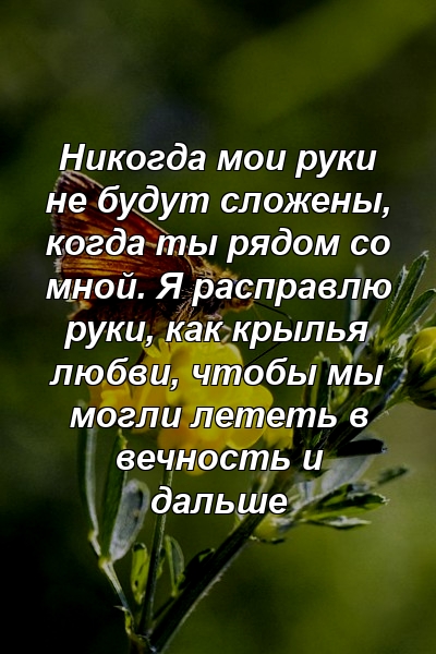 Никогда мои руки не будут сложены, когда ты рядом со мной. Я расправлю руки, как крылья любви, чтобы мы могли лететь в вечность и дальше