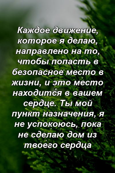 Каждое движение, которое я делаю, направлено на то, чтобы попасть в безопасное место в жизни, и это место находится в вашем сердце. Ты мой пункт назначения, я не успокоюсь, пока не сделаю дом из твоего сердца