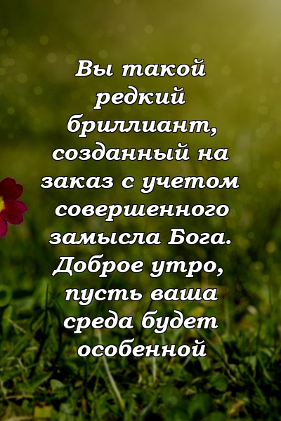 Вы такой редкий бриллиант, созданный на заказ с учетом совершенного замысла Бога. Доброе утро, пусть ваша среда будет особенной