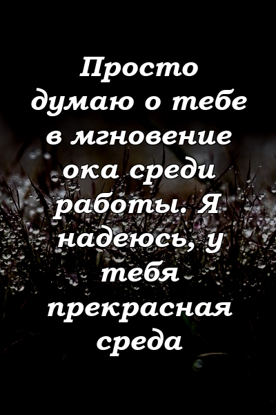 Просто думаю о тебе в мгновение ока среди работы. Я надеюсь, у тебя прекрасная среда