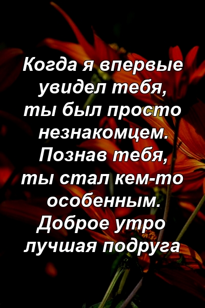 Когда я впервые увидел тебя, ты был просто незнакомцем. Познав тебя, ты стал кем-то особенным. Доброе утро лучшая подруга