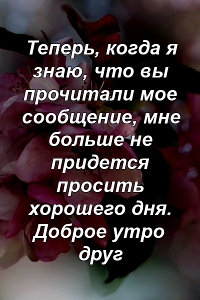 Теперь, когда я знаю, что вы прочитали мое сообщение, мне больше не придется просить хорошего дня. Доброе утро друг