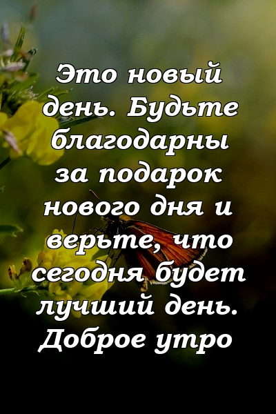 Это новый день. Будьте благодарны за подарок нового дня и верьте, что сегодня будет лучший день. Доброе утро