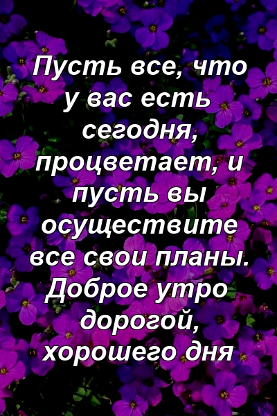 Пусть все, что у вас есть сегодня, процветает, и пусть вы осуществите все свои планы. Доброе утро дорогой, хорошего дня