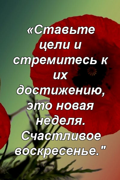 «Ставьте цели и стремитесь к их достижению, это новая неделя. Счастливое воскресенье."