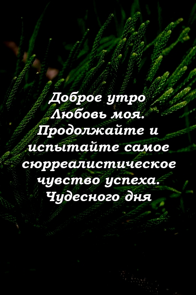 Доброе утро Любовь моя. Продолжайте и испытайте самое сюрреалистическое чувство успеха. Чудесного дня