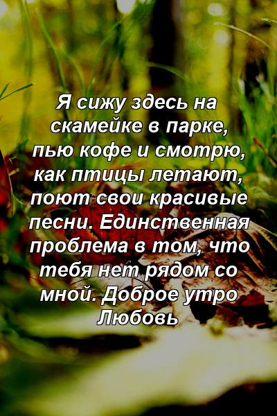 Я сижу здесь на скамейке в парке, пью кофе и смотрю, как птицы летают, поют свои красивые песни. Единственная проблема в том, что тебя нет рядом со мной. Доброе утро Любовь